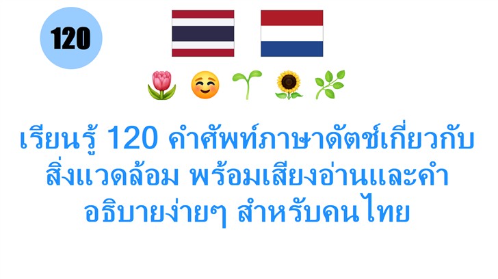 เรียนรู้ 120 คำศัพท์ภาษาดัตช์เกี่ยวกับสิ่งแวดล้อม พร้อมเสียงอ่านและคำอธิบายง่ายๆ สำหรับคนไทย